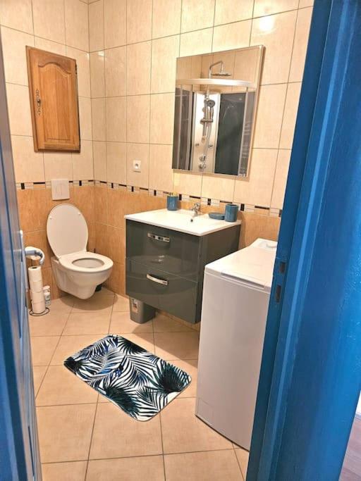 Spacieux Et Charmant Appartement De 47 M2 Charleville-Mézières Exterior foto